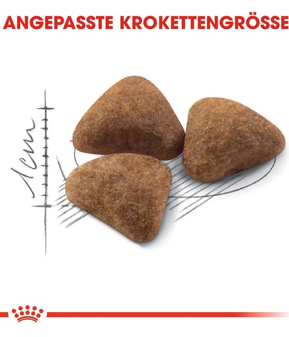 ROYAL CANIN® Trockenfutter für Katzen Indoor Hot