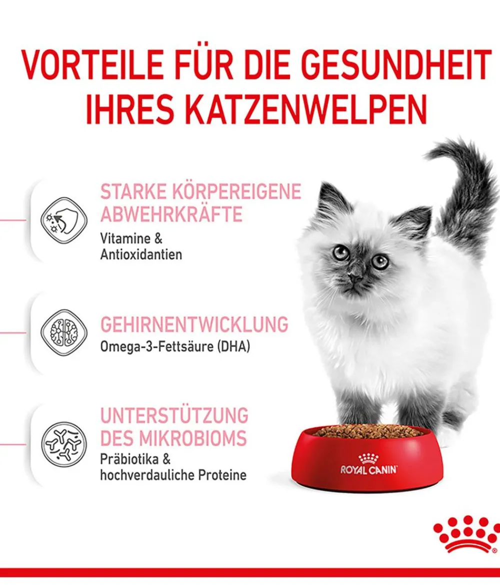 ROYAL CANIN® Trockenfutter Katze - Trockenfutter für Katzen Kitten
