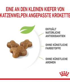 ROYAL CANIN® Trockenfutter Katze - Trockenfutter für Katzen Kitten