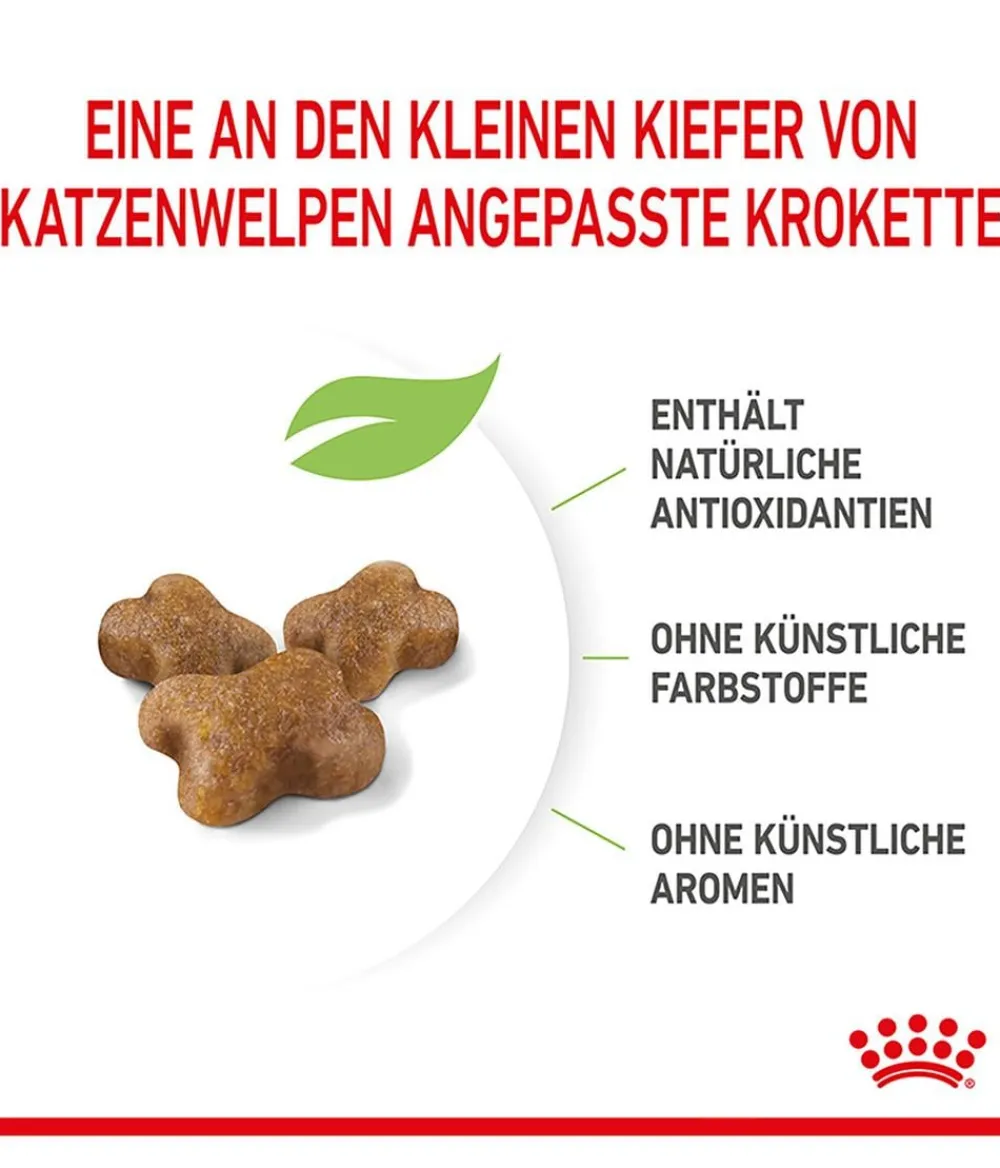 ROYAL CANIN® Trockenfutter Katze - Trockenfutter für Katzen Kitten