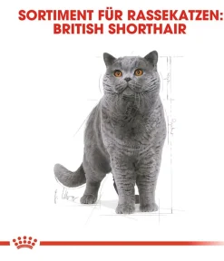 ROYAL CANIN® Trockenfutter Katze > Trockenfutter für Katzen Sterilised