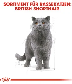 ROYAL CANIN® Trockenfutter Katze - Trockenfutter für Katzen British Shorthair Adult
