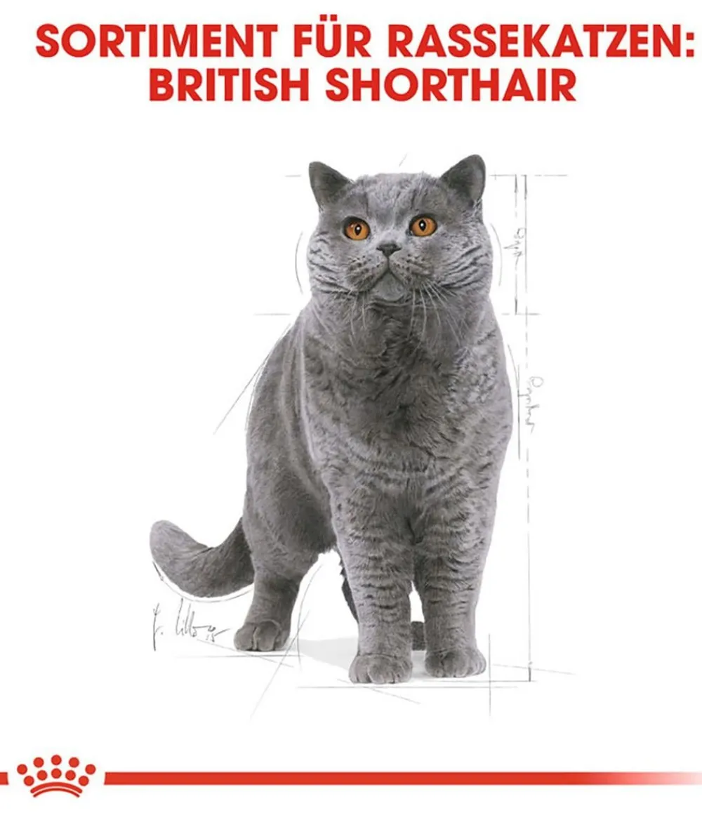 ROYAL CANIN® Trockenfutter Katze - Trockenfutter für Katzen British Shorthair Adult