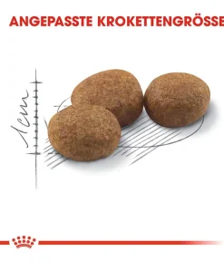 ROYAL CANIN® Trockenfutter für Katzen Sterilised Sale