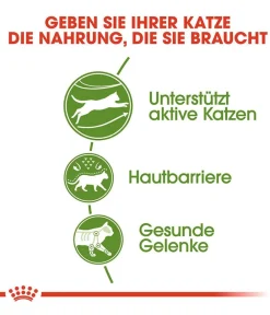 ROYAL CANIN® Trockenfutter Katze > Trockenfutter für Katzen Outdoor