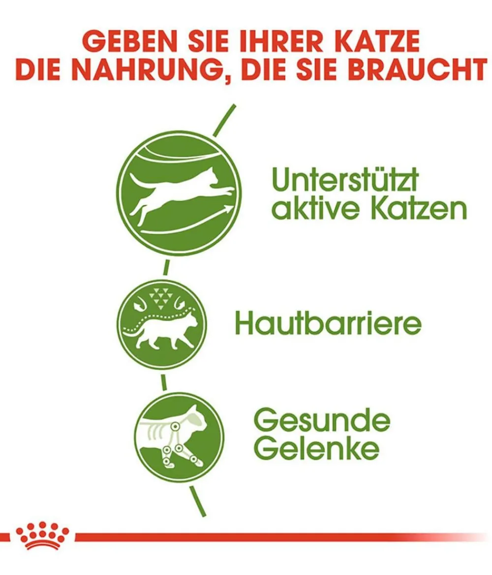 ROYAL CANIN® Trockenfutter Katze > Trockenfutter für Katzen Outdoor