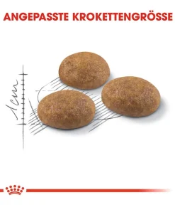 ROYAL CANIN® Trockenfutter Katze > Trockenfutter für Katzen Outdoor