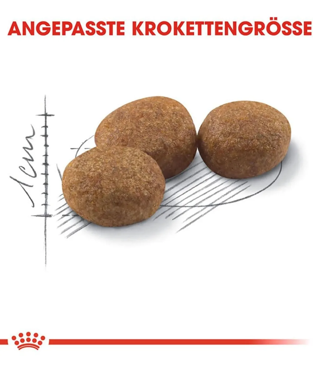 ROYAL CANIN® Trockenfutter Katze - Trockenfutter für Katzen Sterilised