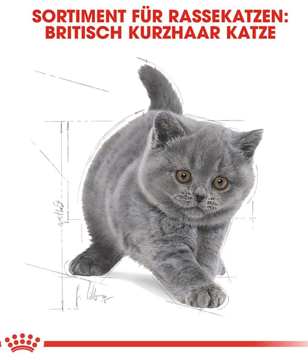 ROYAL CANIN® Trockenfutter für Katzen British Shorthair Kitten Best