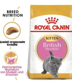 ROYAL CANIN® Trockenfutter für Katzen British Shorthair Kitten Best