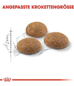 ROYAL CANIN® Trockenfutter für Katzen Outdoor New