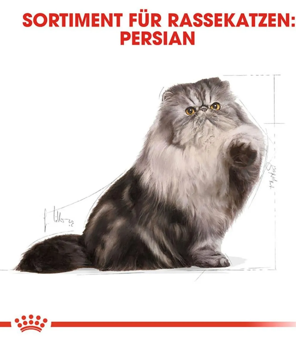 ROYAL CANIN® Trockenfutter für Katzen Persian Adult Discount