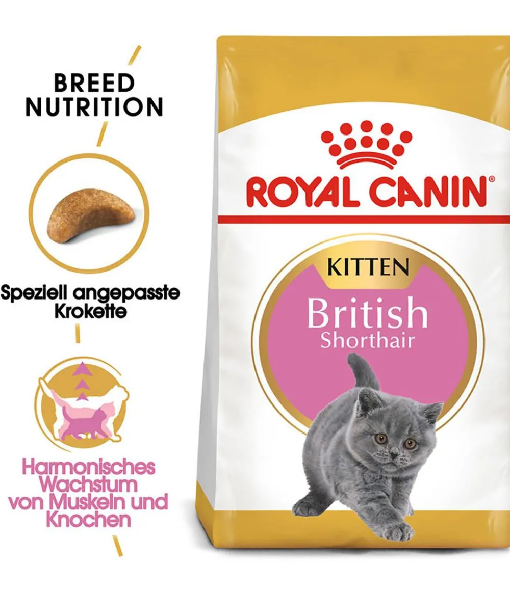 ROYAL CANIN® Trockenfutter Katze - Trockenfutter für Katzen British Shorthair Kitten