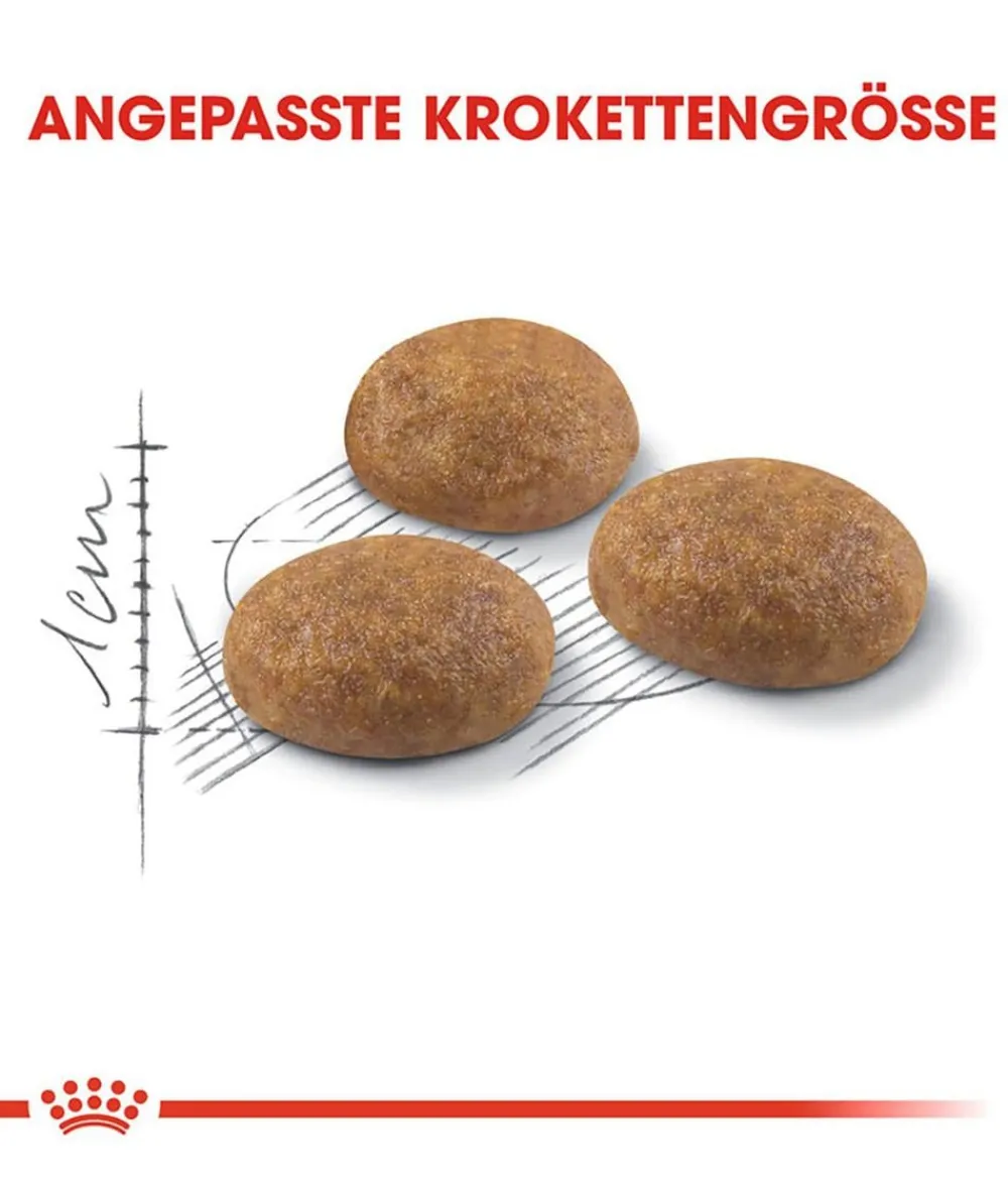 ROYAL CANIN® Trockenfutter Katze - Trockenfutter für Katzen Outdoor