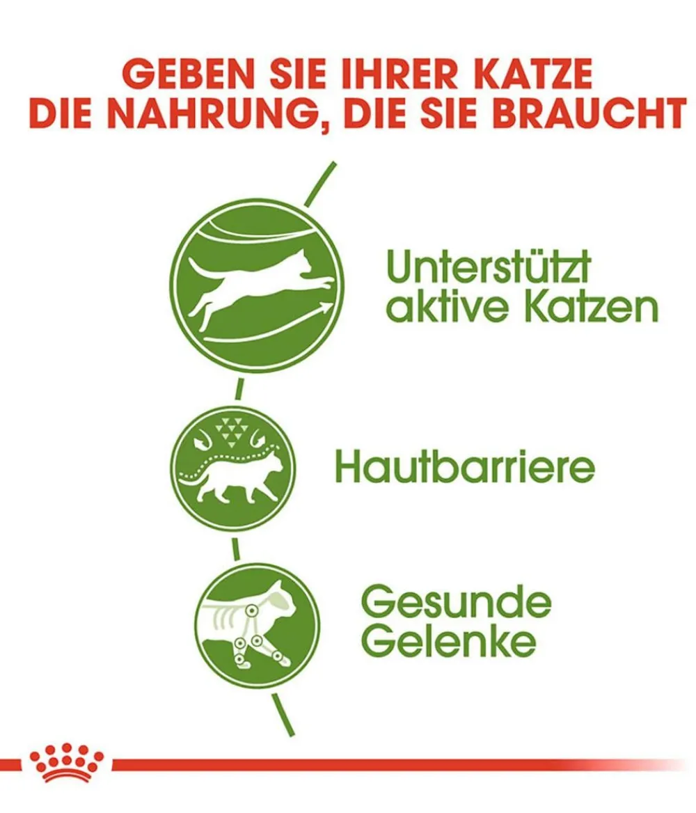 ROYAL CANIN® Trockenfutter Katze - Trockenfutter für Katzen Outdoor
