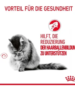 ROYAL CANIN® Trockenfutter Katze > Trockenfutter für Katzen Hairball Care