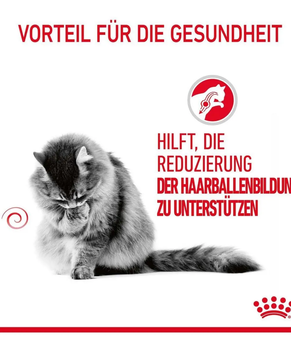 ROYAL CANIN® Trockenfutter Katze > Trockenfutter für Katzen Hairball Care