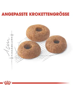 ROYAL CANIN® Trockenfutter für Katzen Fit Best
