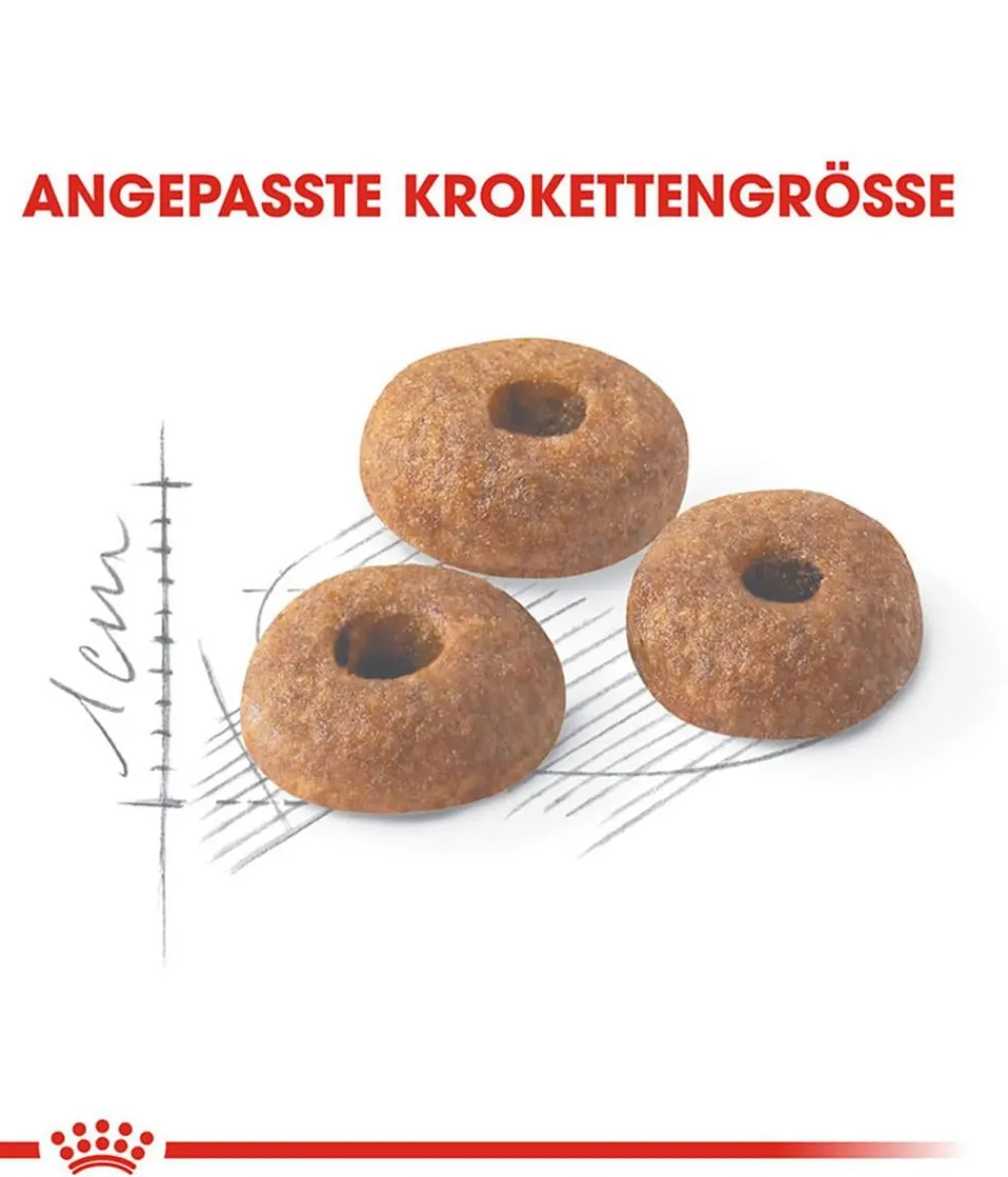 ROYAL CANIN® Trockenfutter für Katzen Fit Best