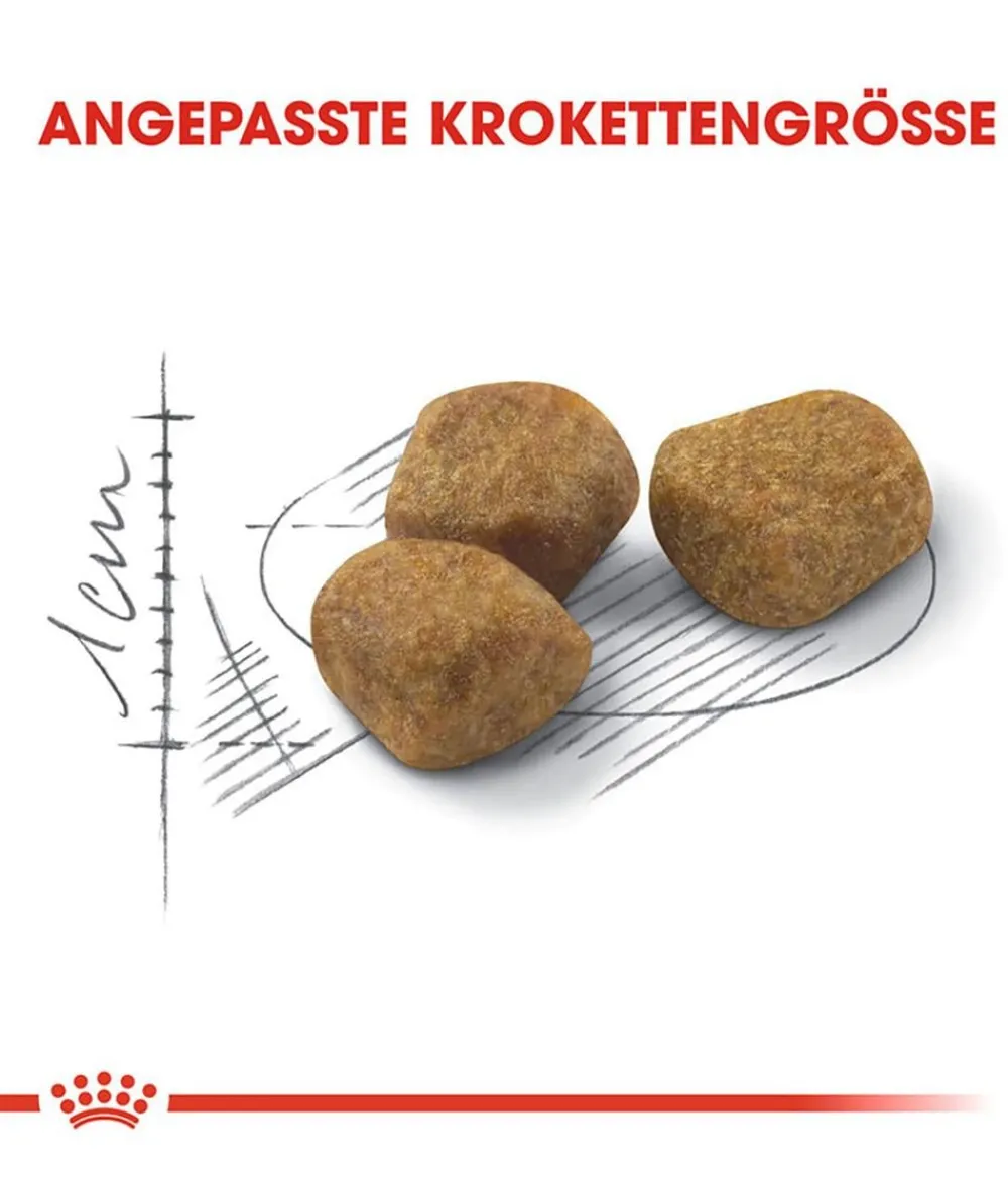 ROYAL CANIN® Trockenfutter Katze > Trockenfutter für Katzen Indoor 7+