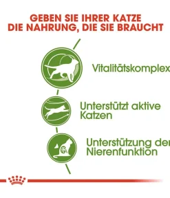 ROYAL CANIN® Trockenfutter Katze - Trockenfutter für Katzen Outdoor 7+