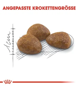 ROYAL CANIN® Trockenfutter Katze - Trockenfutter für Katzen Outdoor 7+