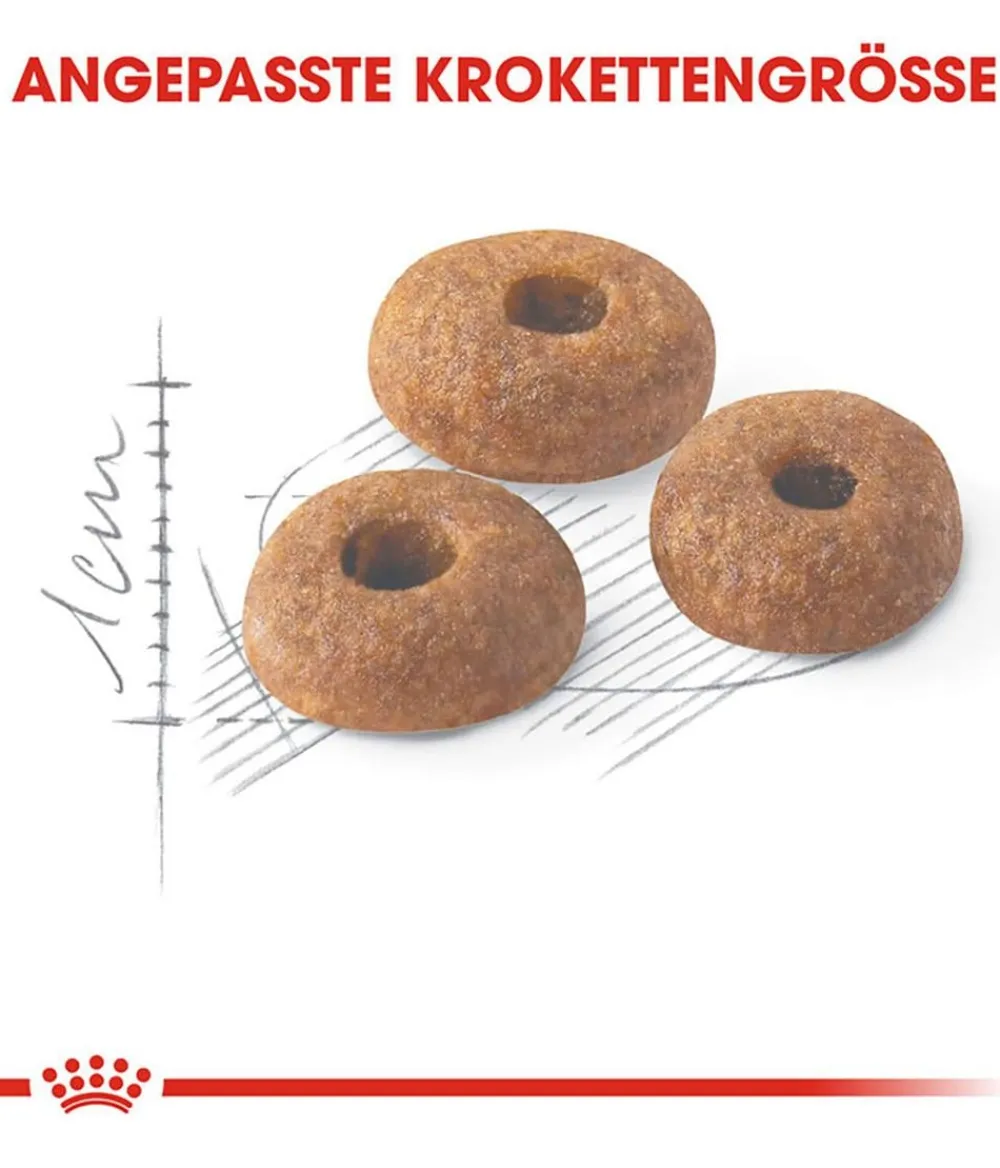 ROYAL CANIN® Trockenfutter Katze - Trockenfutter für Katzen Fit
