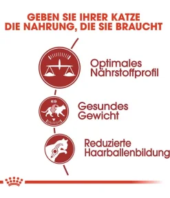 ROYAL CANIN® Trockenfutter Katze - Trockenfutter für Katzen Fit