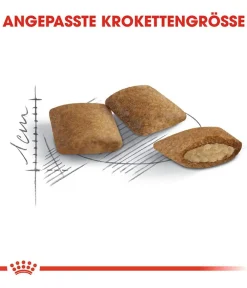 ROYAL CANIN® Trockenfutter Katze - Trockenfutter für Katzen Ageing 12+ Senior