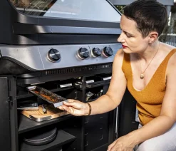 Rösle Gasgrills > Gasgrill Blazeflame Master 4 50 mbar, ca. B160/H123/T69 cm