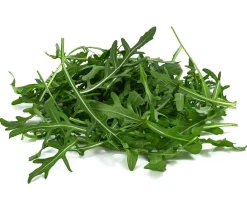 Dehner Kohl- & Salatpflanzen - Rucola, 12er Schale Grün
