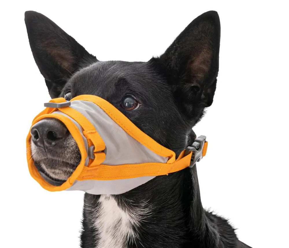 RUFFWEAR® Hundepflege & Hygiene > Evakuierungsset BackTrak™