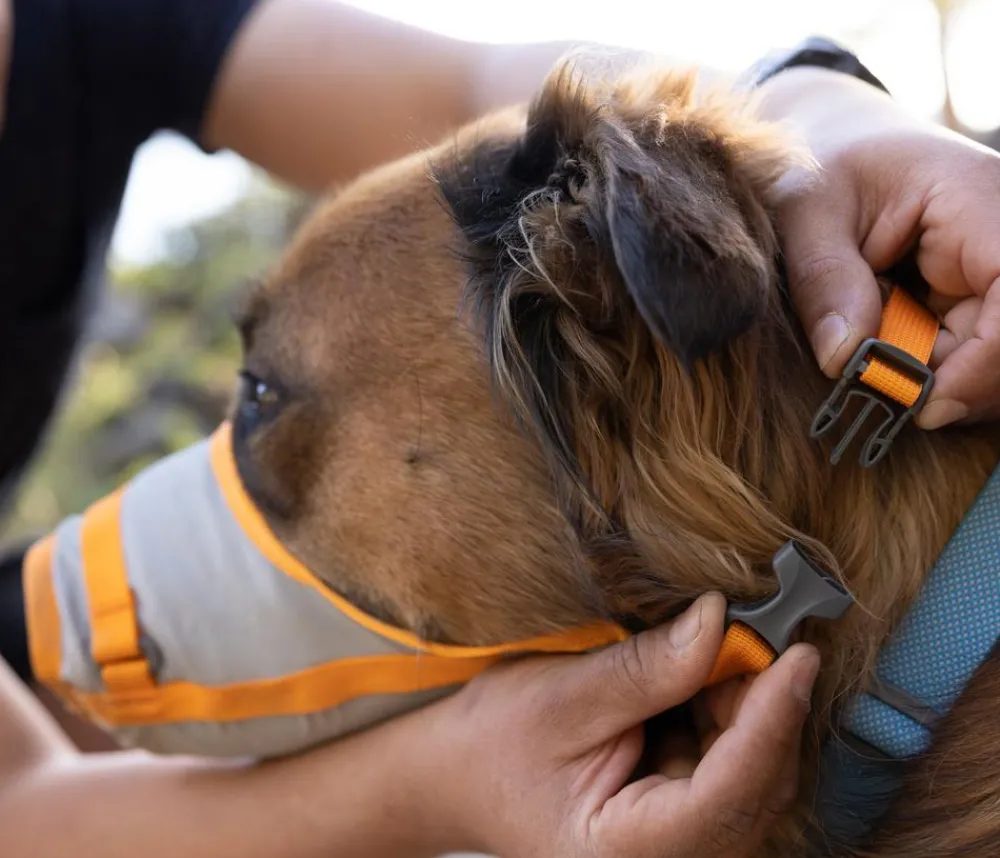 RUFFWEAR® Hundepflege & Hygiene > Evakuierungsset BackTrak™