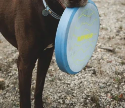 RUFFWEAR® Hundespielzeug > Frisbeescheibe Camp Flyer™