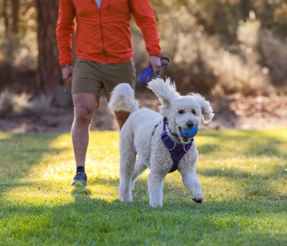 RUFFWEAR® Hundespielzeug - Gummi-Wurfspielzeug Huckama™ Lila