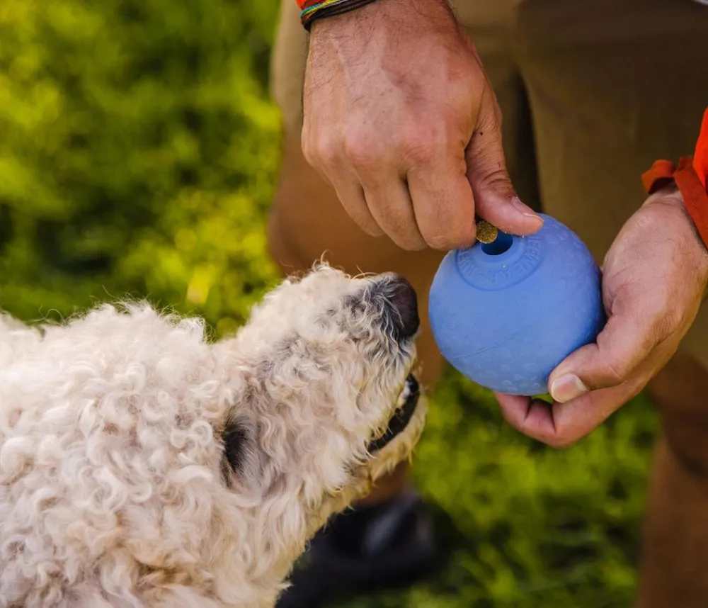 RUFFWEAR® Hundespielzeug - Gummi-Wurfspielzeug Huckama™ Lila