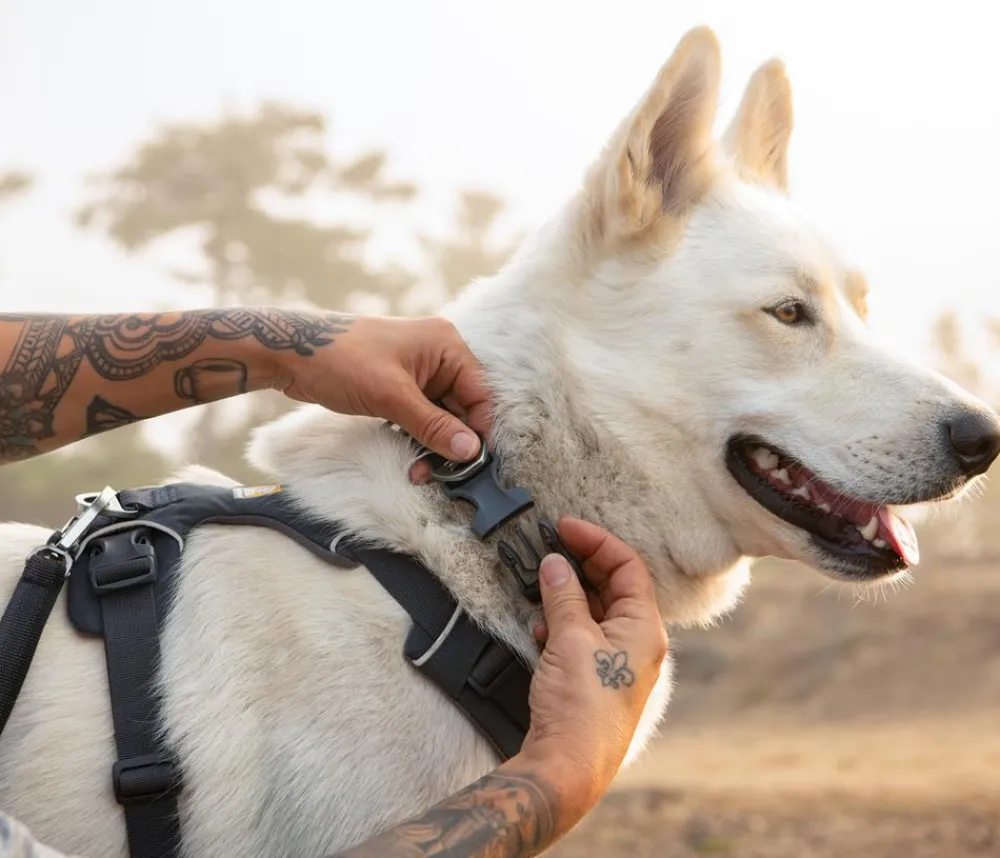RUFFWEAR® Haband Front Range™ Anthrazit Outlet