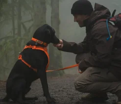 RUFFWEAR® Haband Front Range™ Orange Outlet