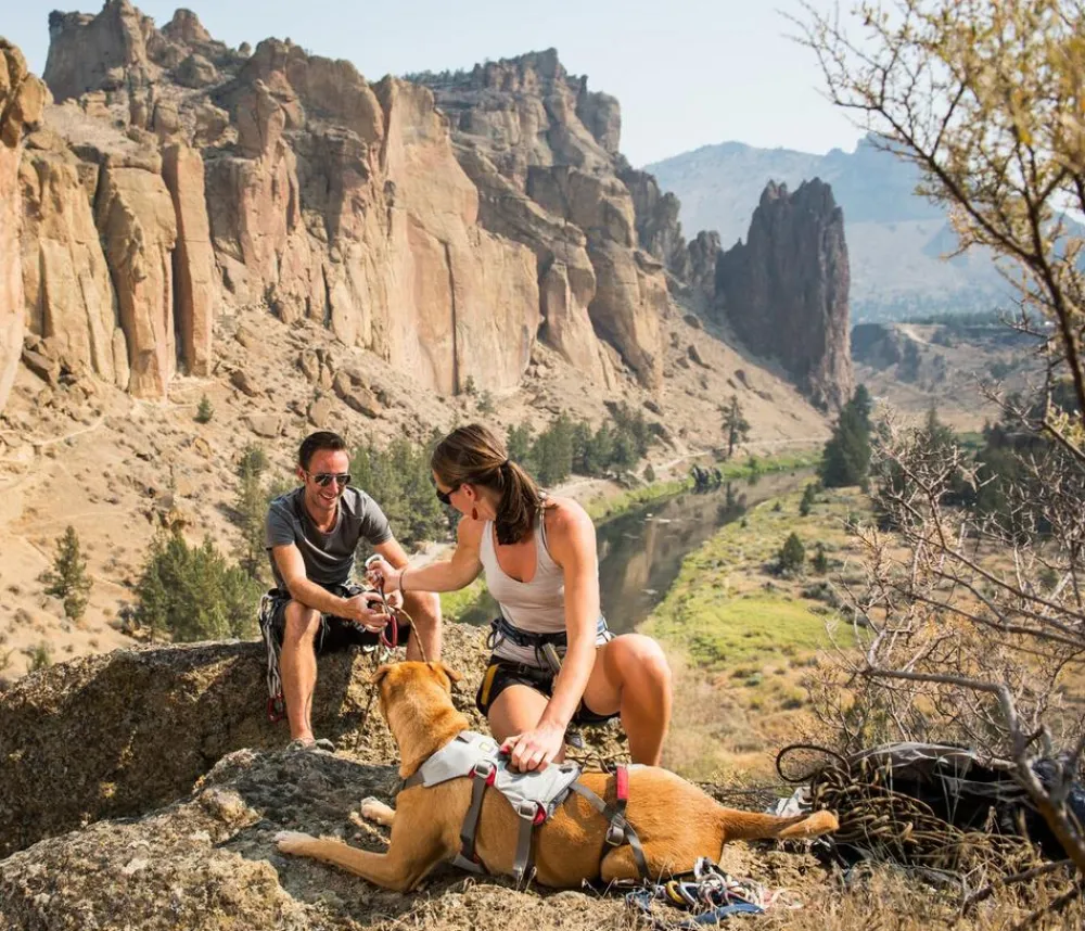 RUFFWEAR® Hundegechirr DoubleBack™ Online
