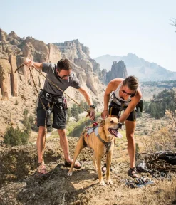 RUFFWEAR® Hundegechirr DoubleBack™ Online