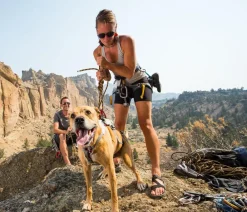 RUFFWEAR® Hundehalsbänder & Geschirre - Hundegechirr DoubleBack™