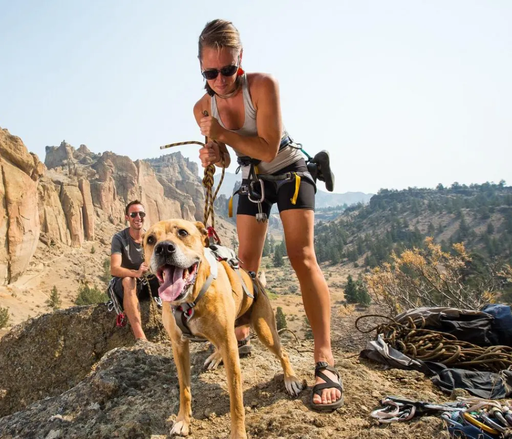 RUFFWEAR® Hundehalsbänder & Geschirre - Hundegechirr DoubleBack™