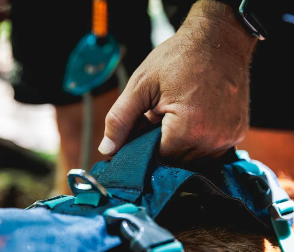 RUFFWEAR® Hundehalsbänder & Geschirre > Hundegechirr Fagine Harne 2.0