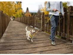 RUFFWEAR® Hundehalsbänder & Geschirre > Hundegechirr Fagine Harne 2.0
