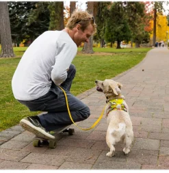 RUFFWEAR® Hundehalsbänder & Geschirre > Hundegechirr Fagine Harne 2.0