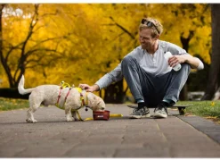RUFFWEAR® Hundehalsbänder & Geschirre > Hundegechirr Fagine Harne 2.0