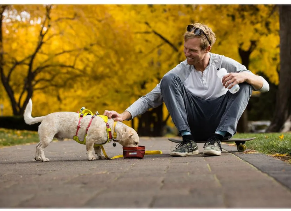 RUFFWEAR® Hundehalsbänder & Geschirre > Hundegechirr Fagine Harne 2.0