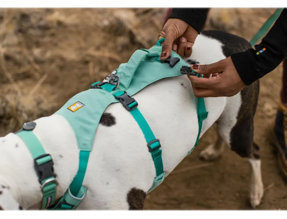 RUFFWEAR® Hundehalsbänder & Geschirre > Hundegechirr Fagine Harne 2.0