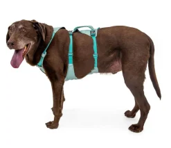 RUFFWEAR® Hundegechirr Fagine Harne 2.0 Türkis Outlet