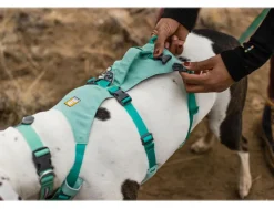 RUFFWEAR® Hundegechirr Fagine Harne 2.0 Türkis Outlet